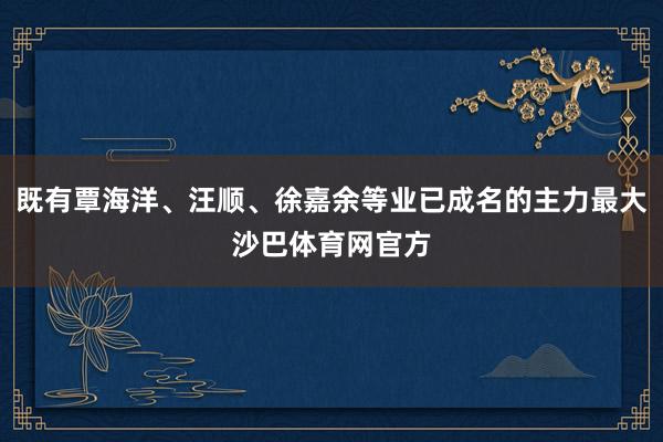 既有覃海洋、汪顺、徐嘉余等业已成名的主力最大沙巴体育网官方