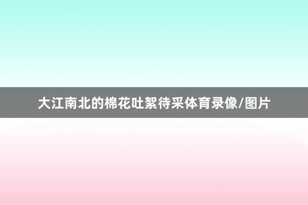 大江南北的棉花吐絮待采体育录像/图片