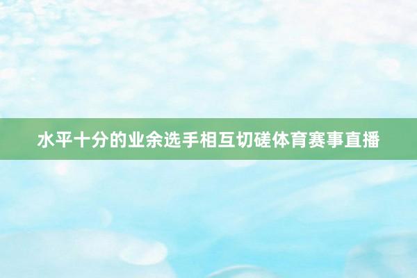 水平十分的业余选手相互切磋体育赛事直播