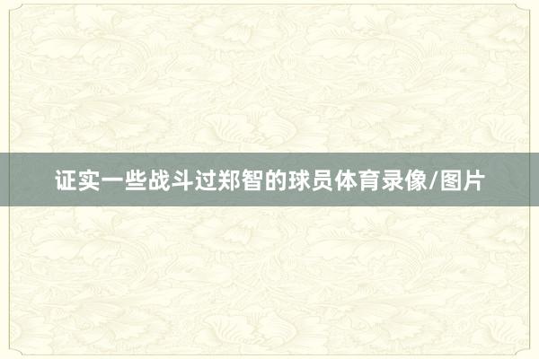 证实一些战斗过郑智的球员体育录像/图片