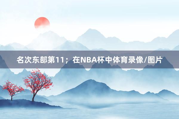 名次东部第11；在NBA杯中体育录像/图片