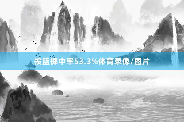 投篮掷中率53.3%体育录像/图片