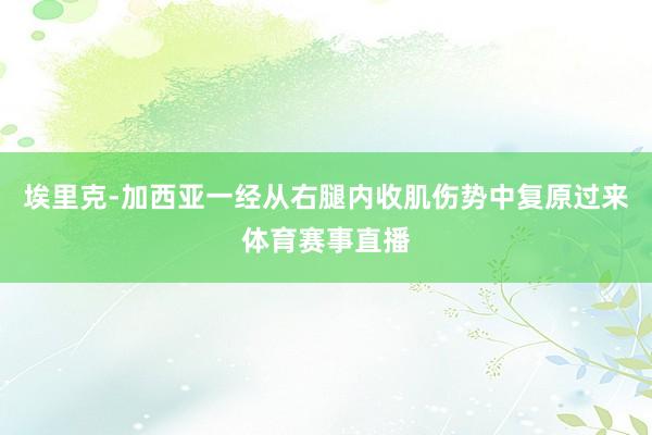 埃里克-加西亚一经从右腿内收肌伤势中复原过来体育赛事直播