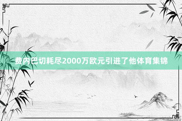 费内巴切耗尽2000万欧元引进了他体育集锦