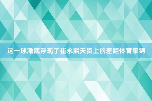 这一球澈底浮现了崔永熙天资上的差距体育集锦