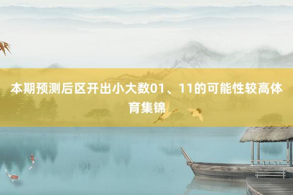 本期预测后区开出小大数01、11的可能性较高体育集锦