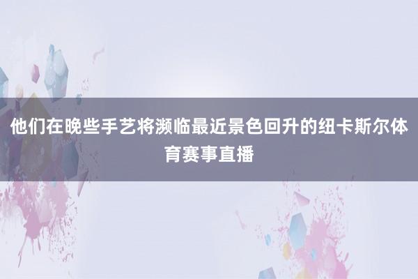 他们在晚些手艺将濒临最近景色回升的纽卡斯尔体育赛事直播