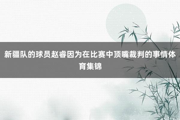 新疆队的球员赵睿因为在比赛中顶嘴裁判的事情体育集锦