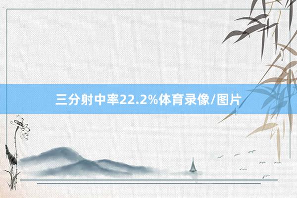 三分射中率22.2%体育录像/图片