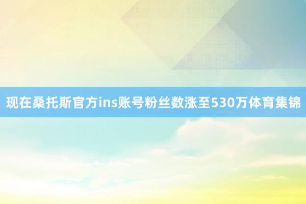 现在桑托斯官方ins账号粉丝数涨至530万体育集锦